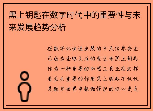 黑上钥匙在数字时代中的重要性与未来发展趋势分析